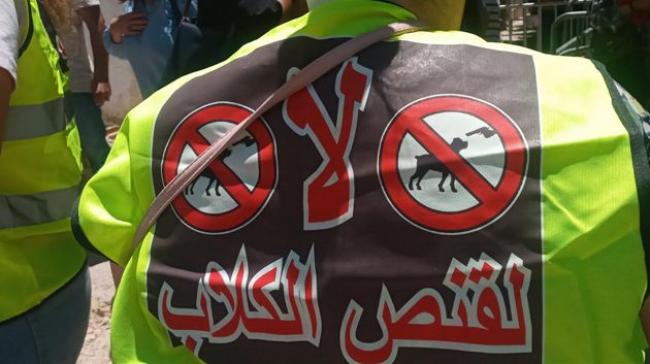 Kef plans stray dog cull in June